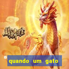 quando um gato aparece do nada significado espiritual